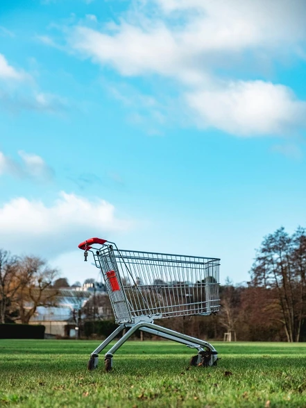 shopping-cart-scaled